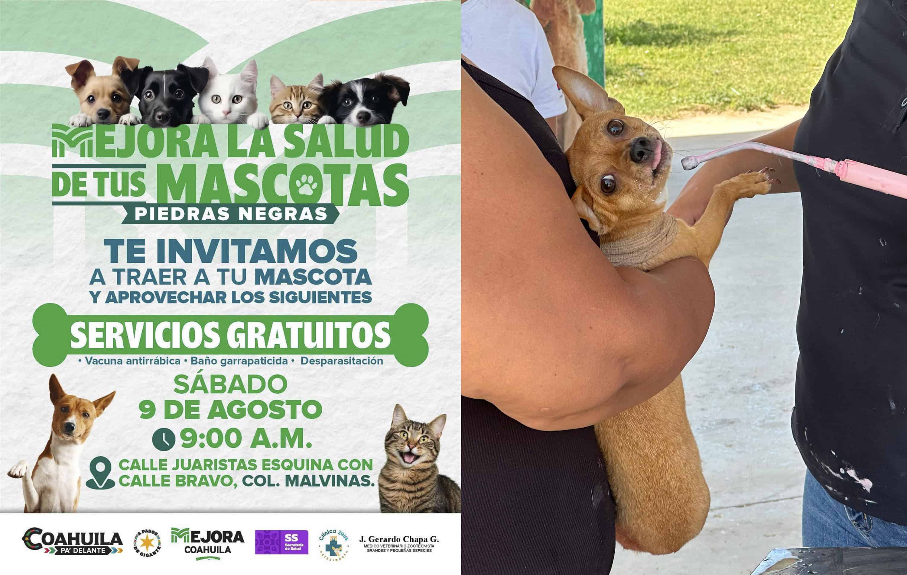 Regresa jornada gratuita de salud para mascotas este sábado en la colonia Malvinas