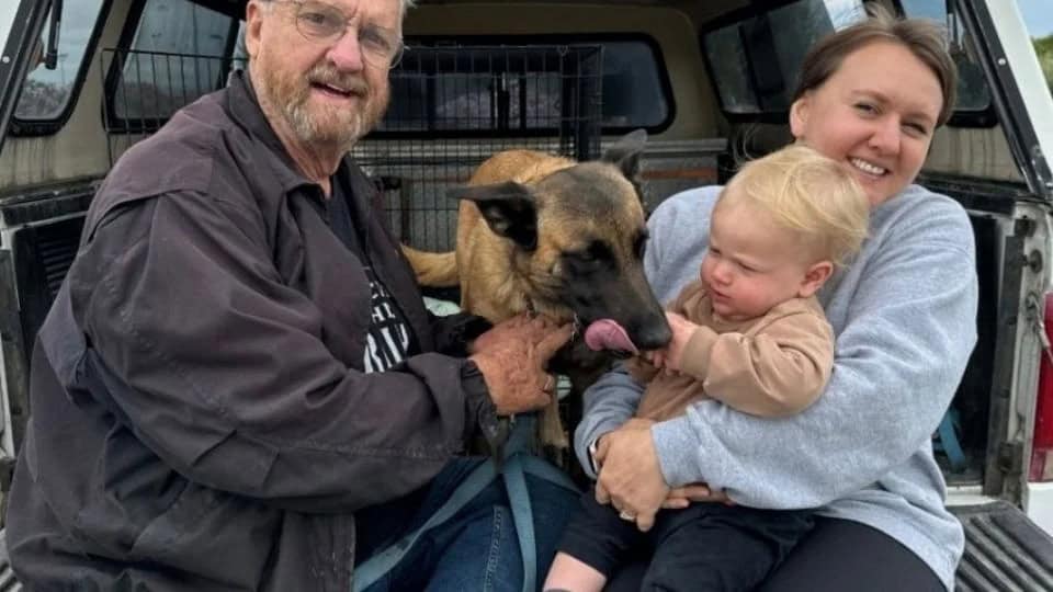 Richard Mockabee, héroe al salvar a su perro de ataque de abejas africanizadas en Baja California