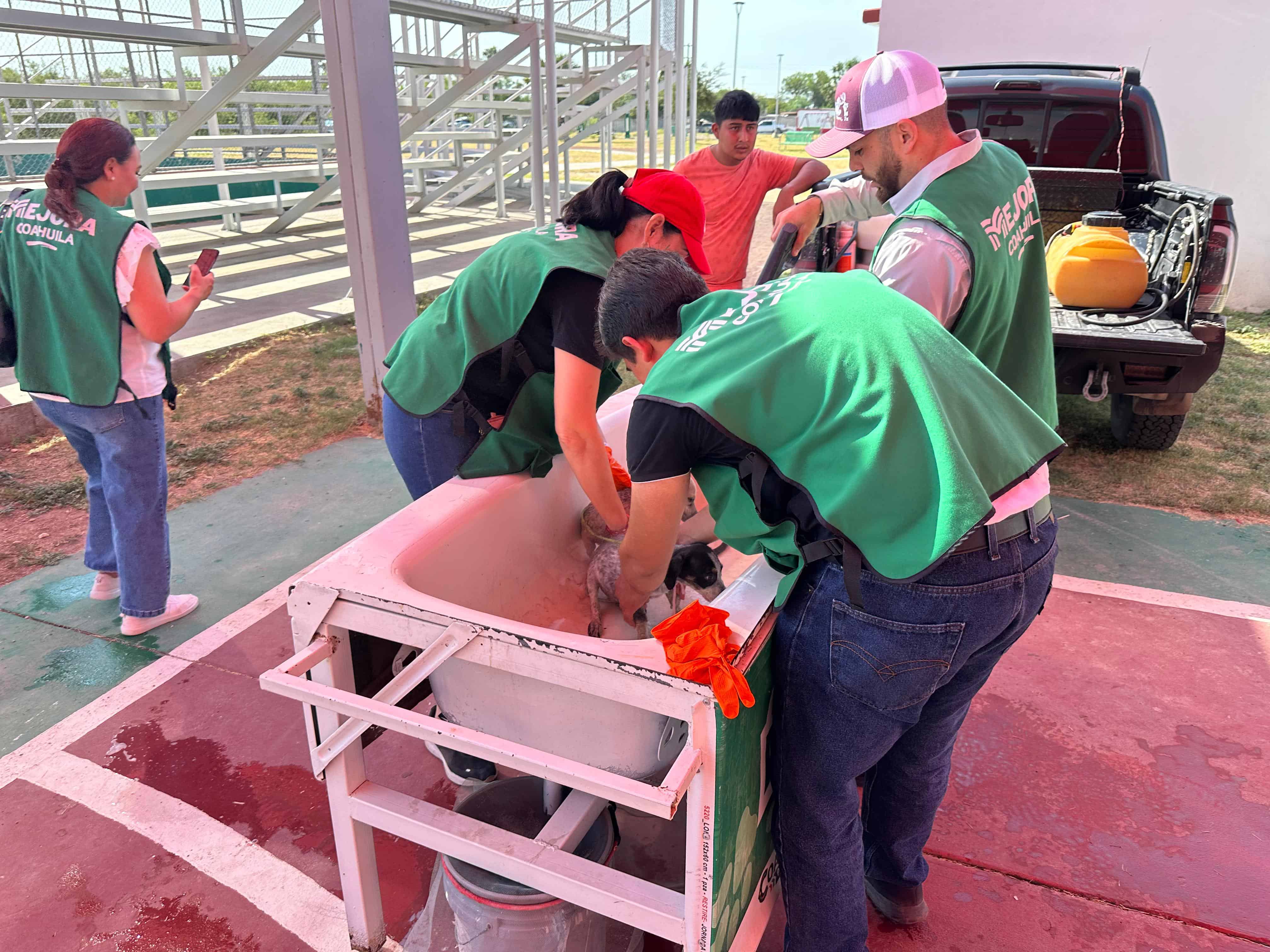 Más de 200 Mascotas Atendidas en Jornada Gratuita en Piedras Negras