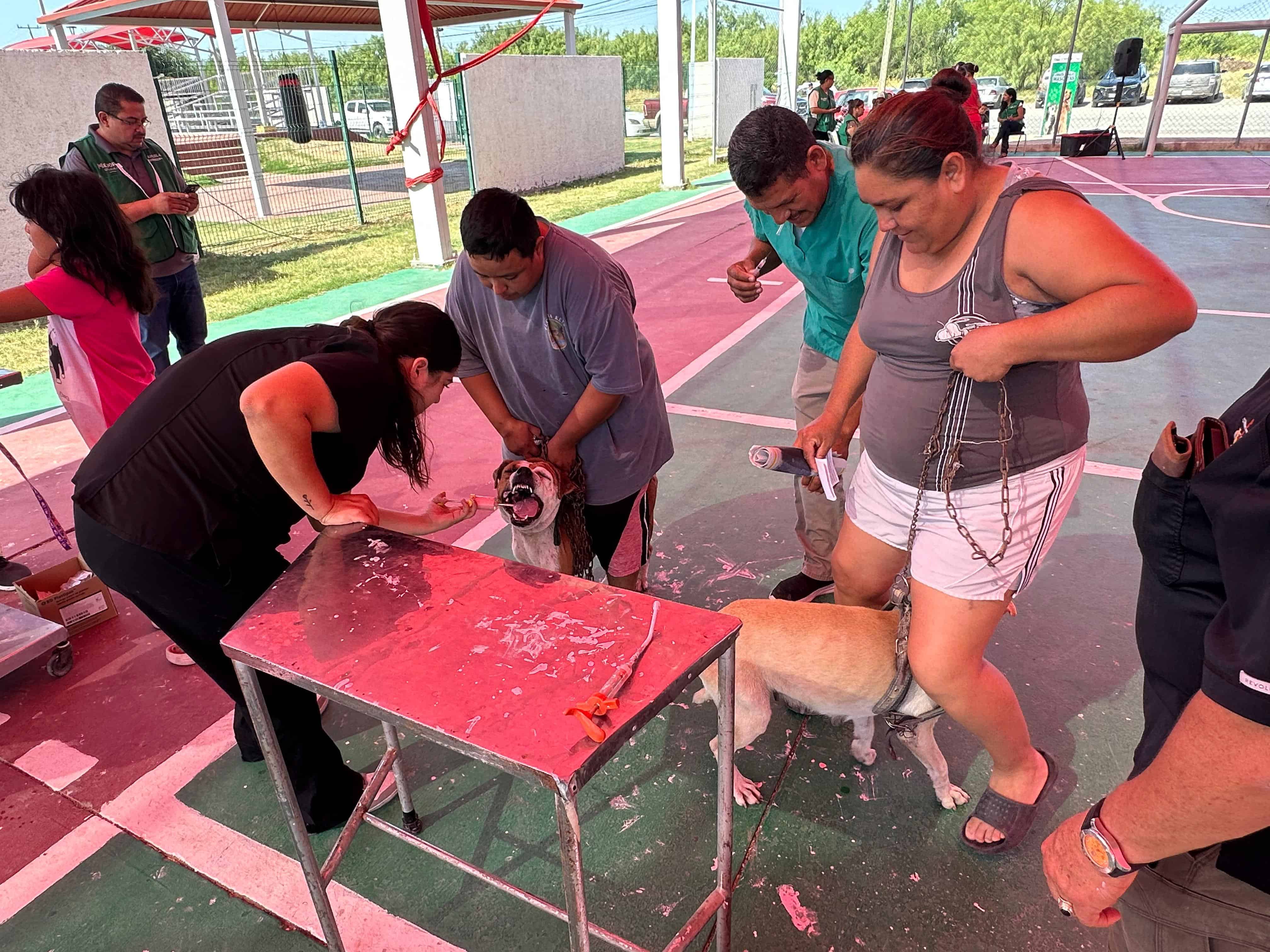 Más de 200 Mascotas Atendidas en Jornada Gratuita en Piedras Negras
