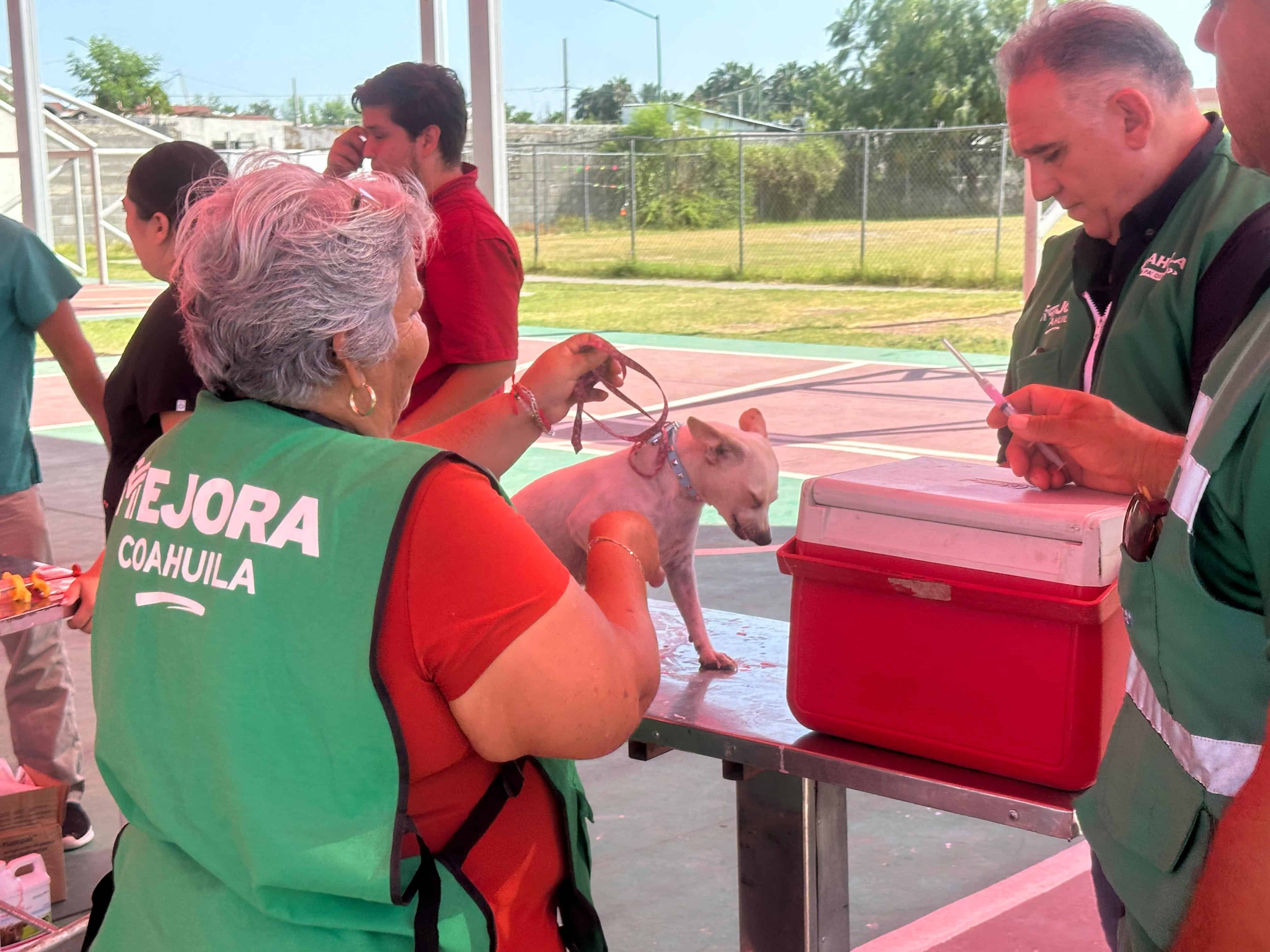 Más de 200 Mascotas Atendidas en Jornada Gratuita en Piedras Negras