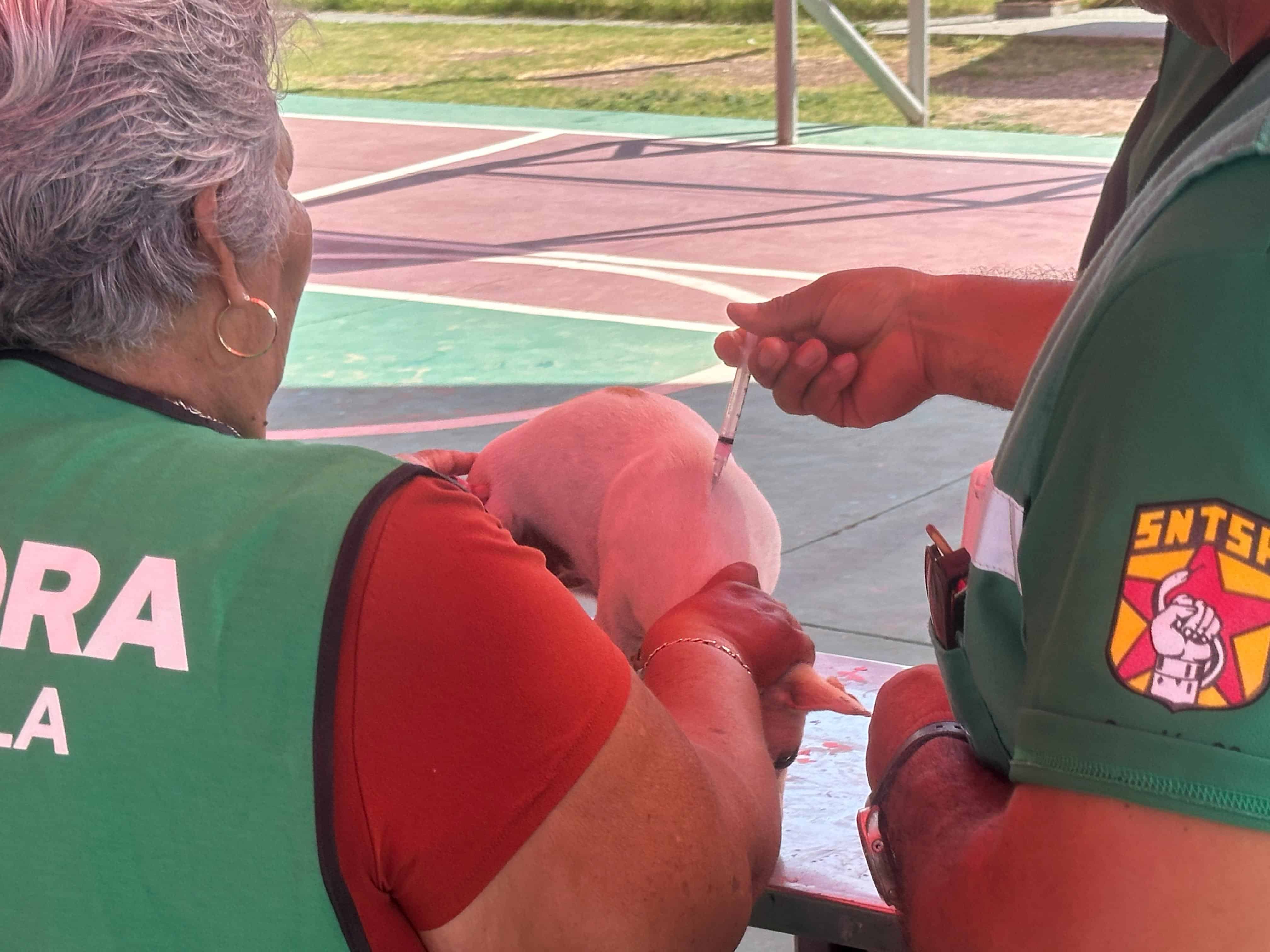 Más de 200 Mascotas Atendidas en Jornada Gratuita en Piedras Negras