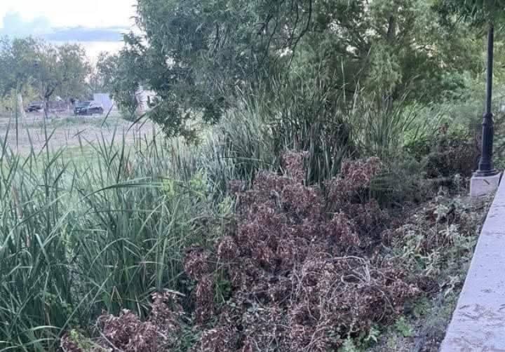 Abandonan el Paseo del Río; luce como muladar