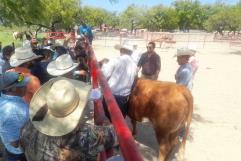 Llevan inteligencia artificial y drones al campo en Acuña