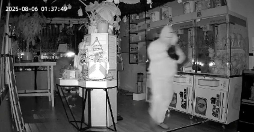 Roban $7,000 en muñecas Labubu en tienda de Los Ángeles