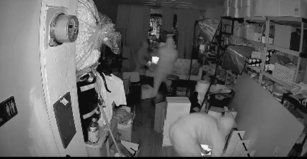 Roban $7,000 en muñecas Labubu en tienda de Los Ángeles
