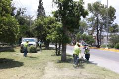 Rehabilitación en colonia Jardines a través del programa Aquí Andamos