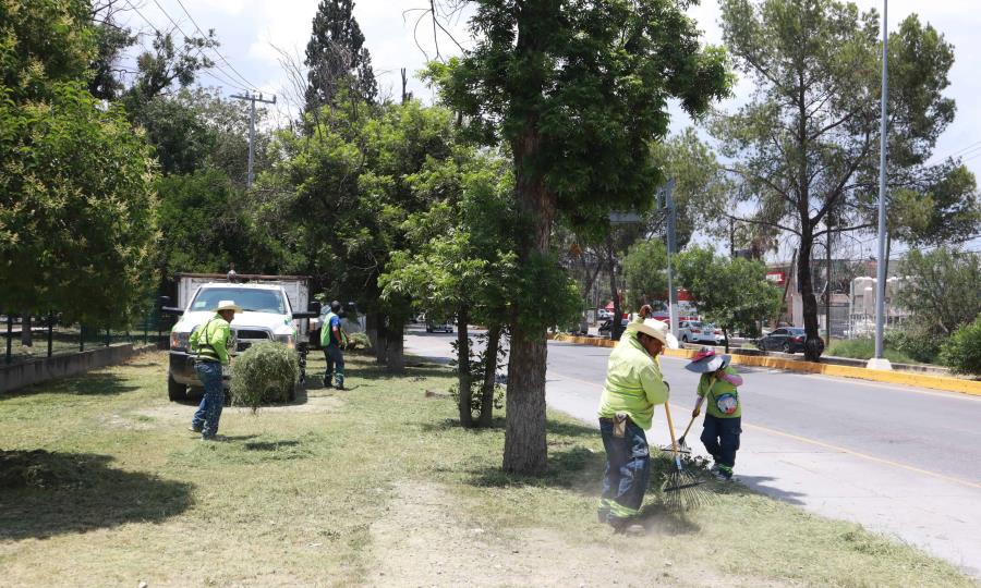 Rehabilitación en colonia Jardines a través del programa Aquí Andamos