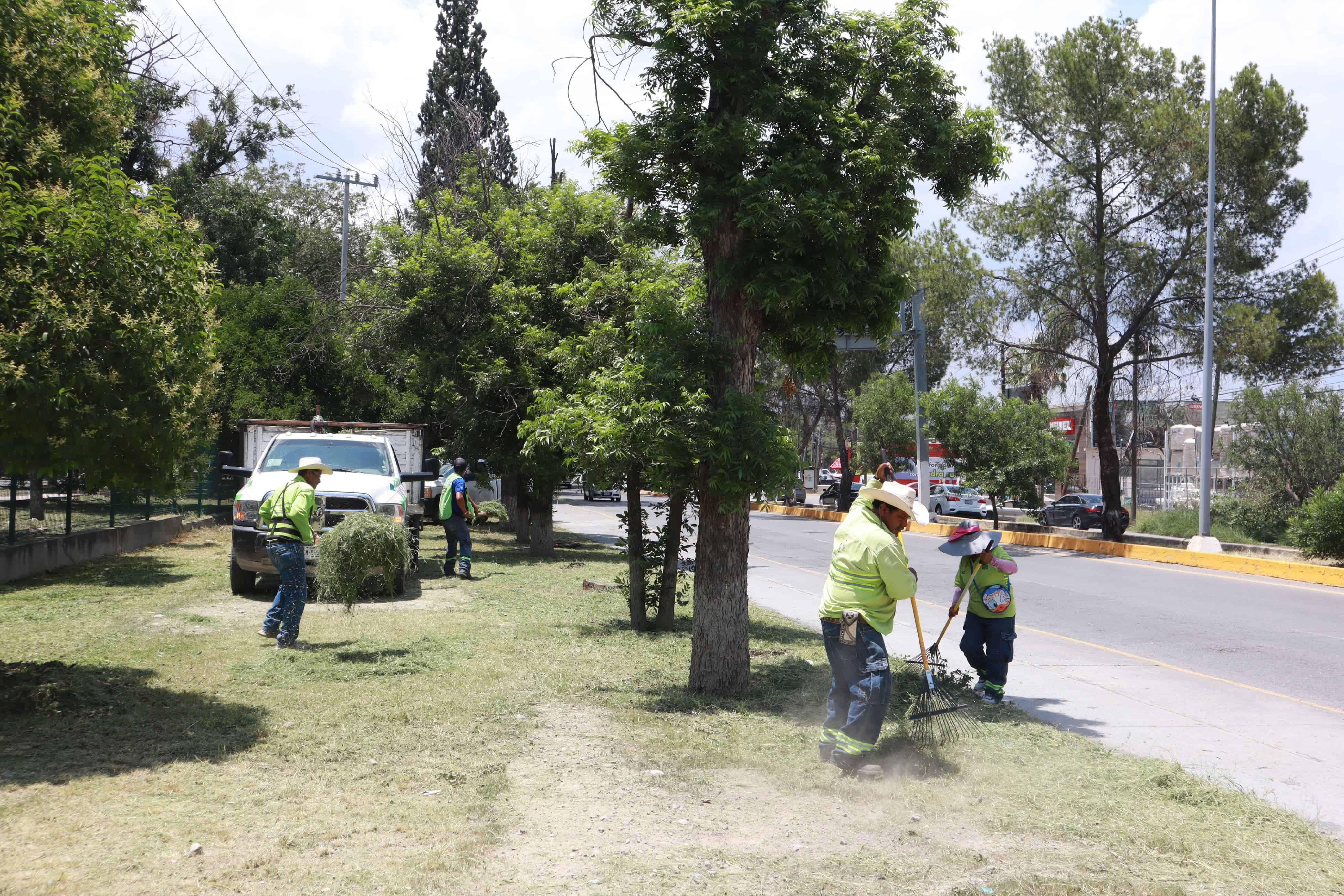Rehabilitación en colonia Jardines a través del programa Aquí Andamos