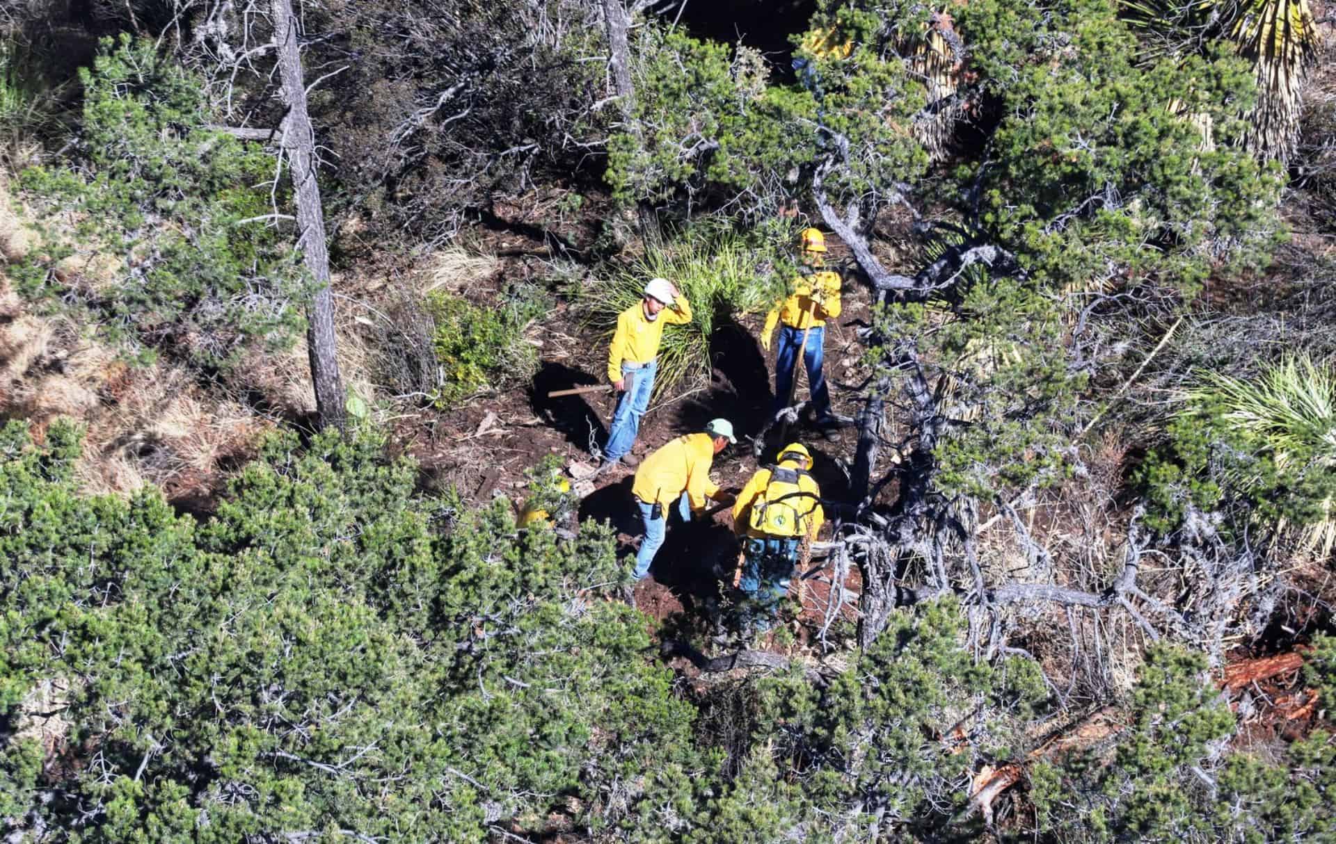 Recuperación de zonas incendiadas en la Sierra de Arteaga
