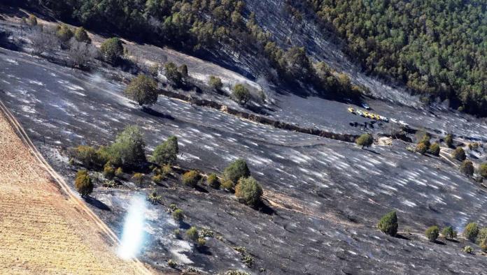 Recuperación de zonas incendiadas en la Sierra de Arteaga