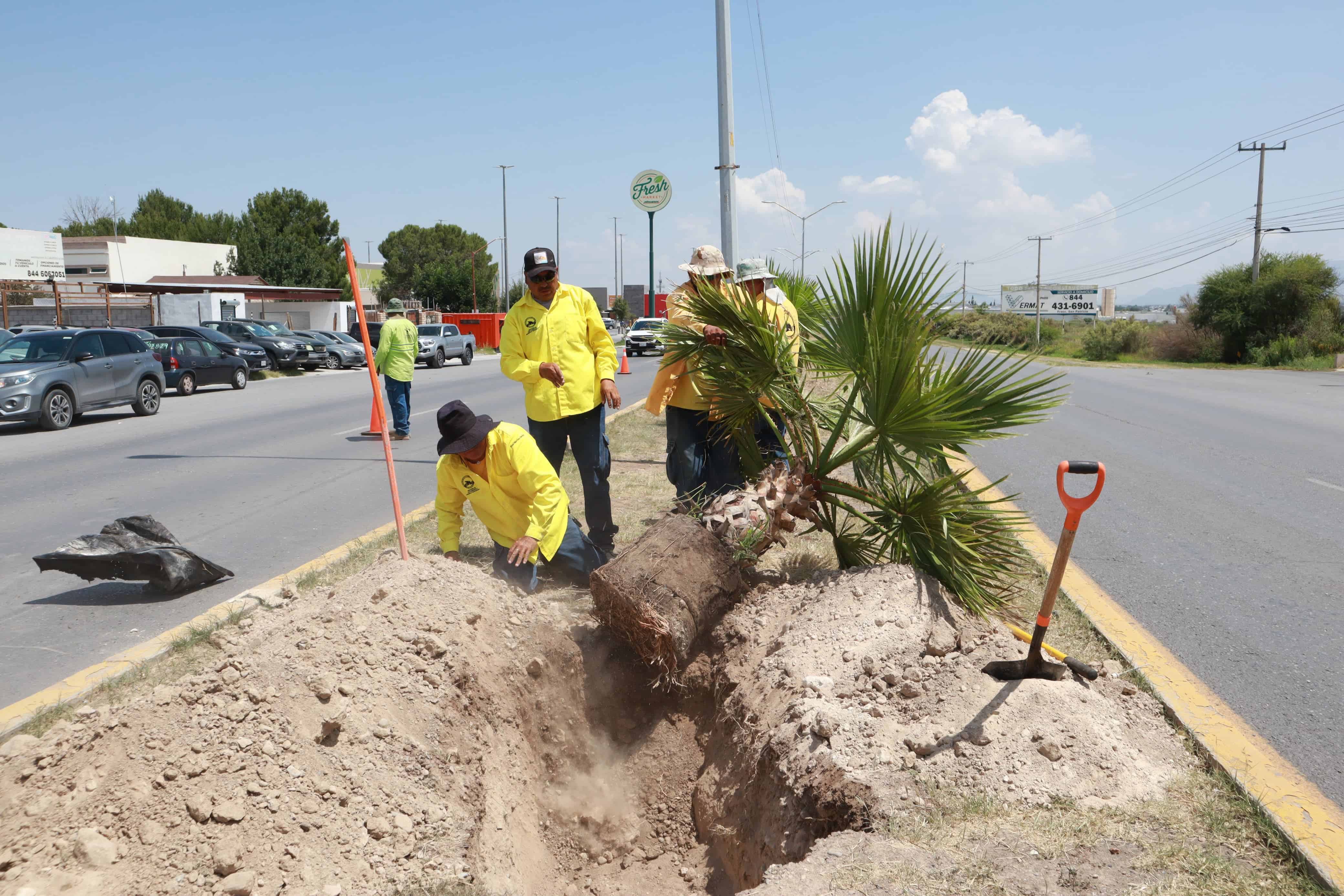Gobierno Municipal de Saltillo promueve la reforestación en la ciudad