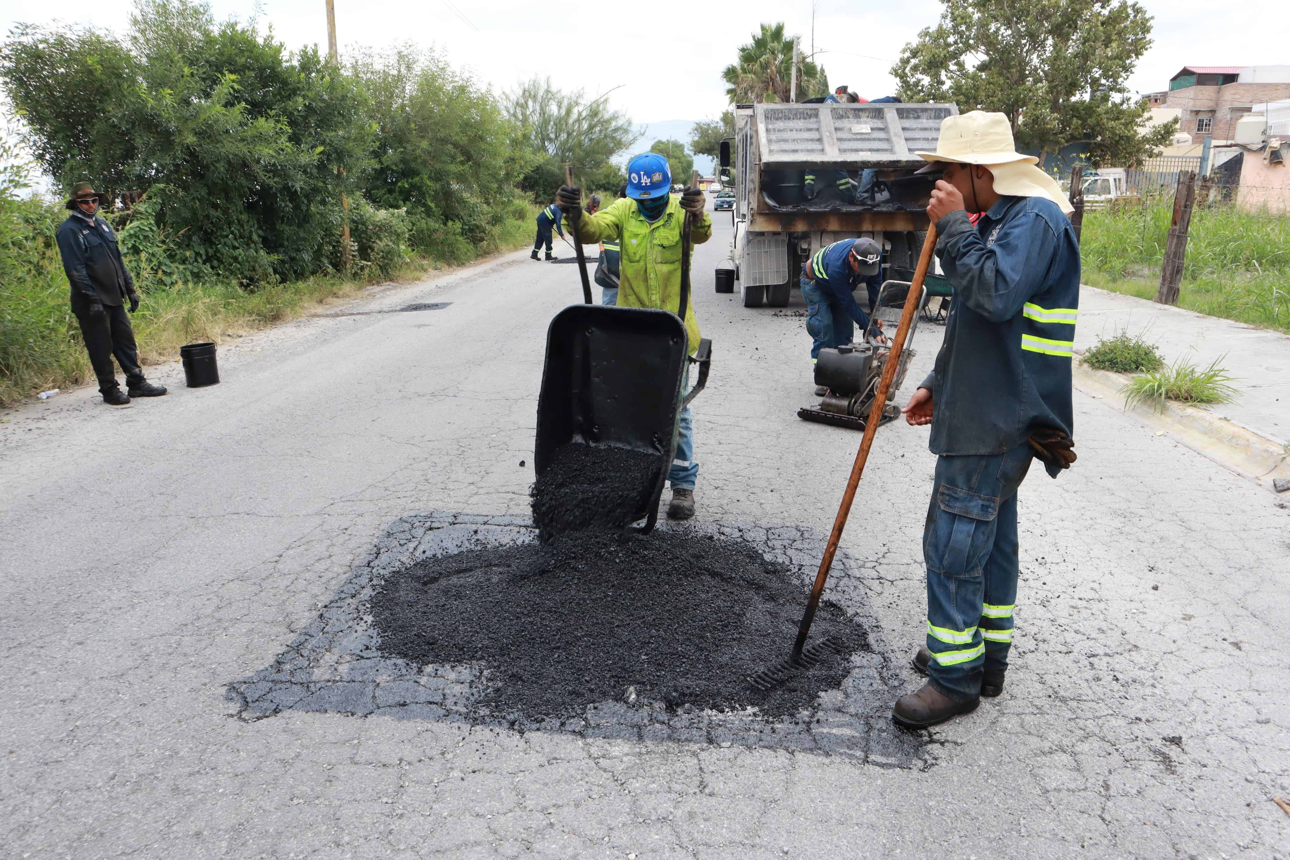Gobierno Municipal de Saltillo promueve la reforestación en la ciudad