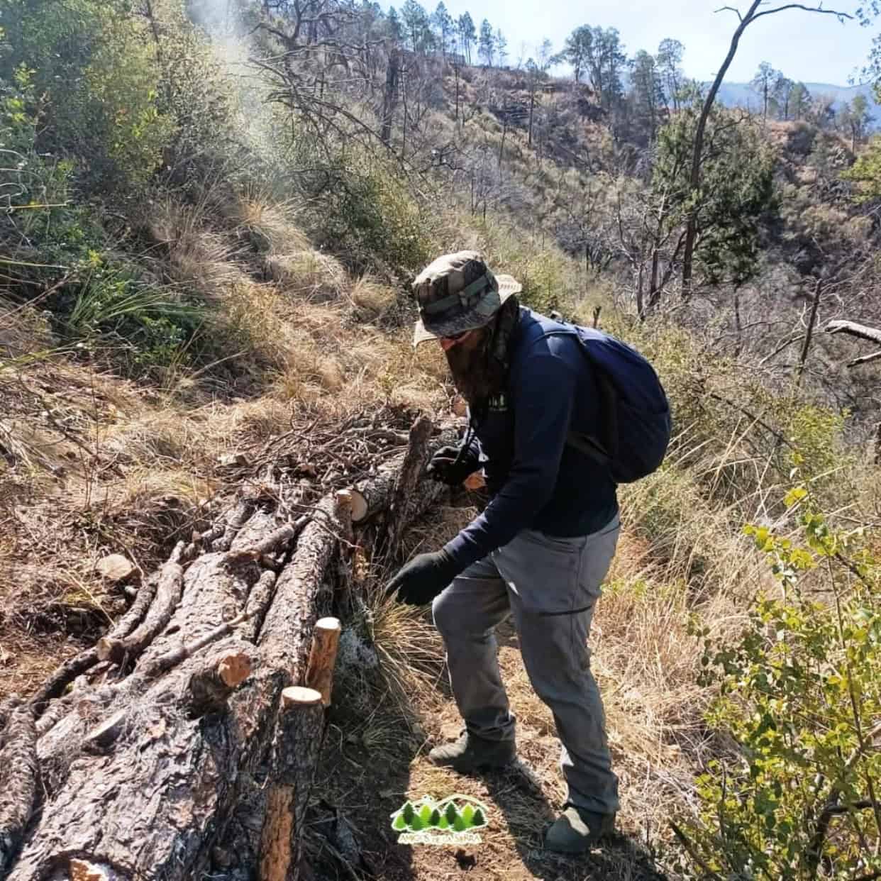 Vacante disponible en Amigos de la Sierra para Ingeniero Forestal