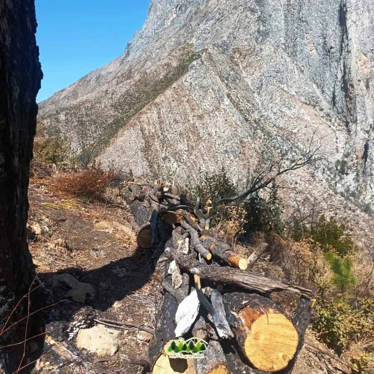 Vacante disponible en Amigos de la Sierra para Ingeniero Forestal