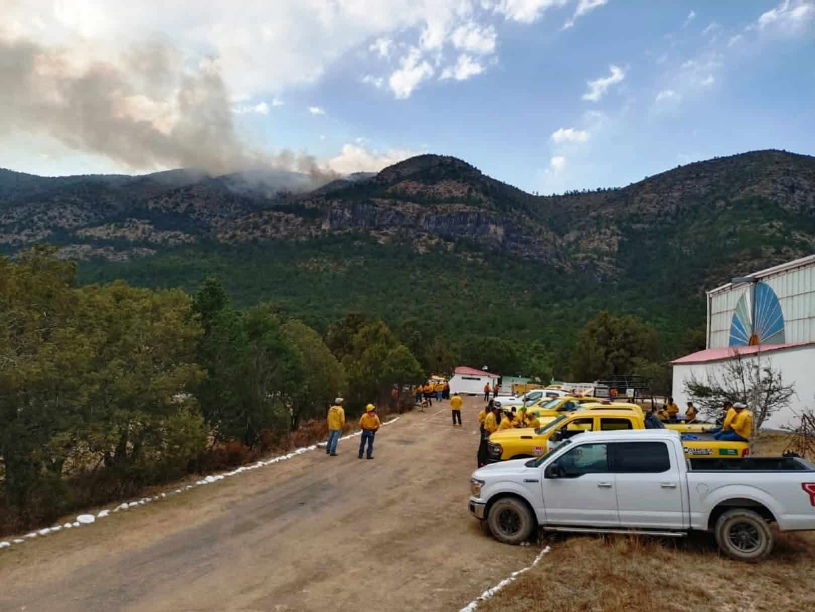 Vacante disponible en Amigos de la Sierra para Ingeniero Forestal