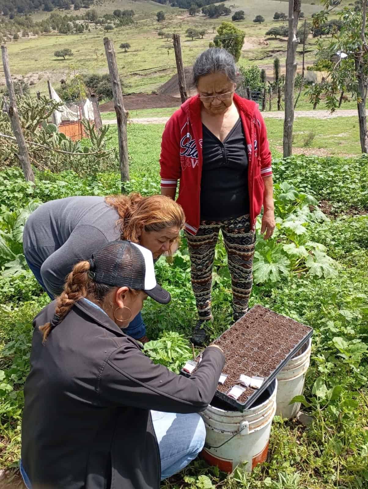 Programas de Incentivos Municipales al Campo fortalecen zona rural en Saltillo
