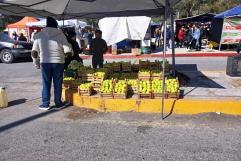 Arteaga y Argentina acuerdan exportación de manzanas