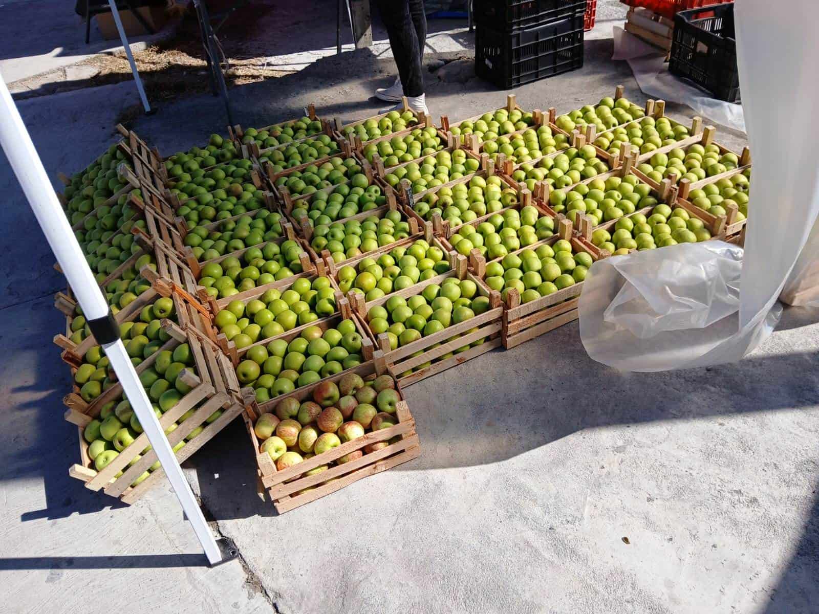 Arteaga y Argentina acuerdan exportación de manzanas