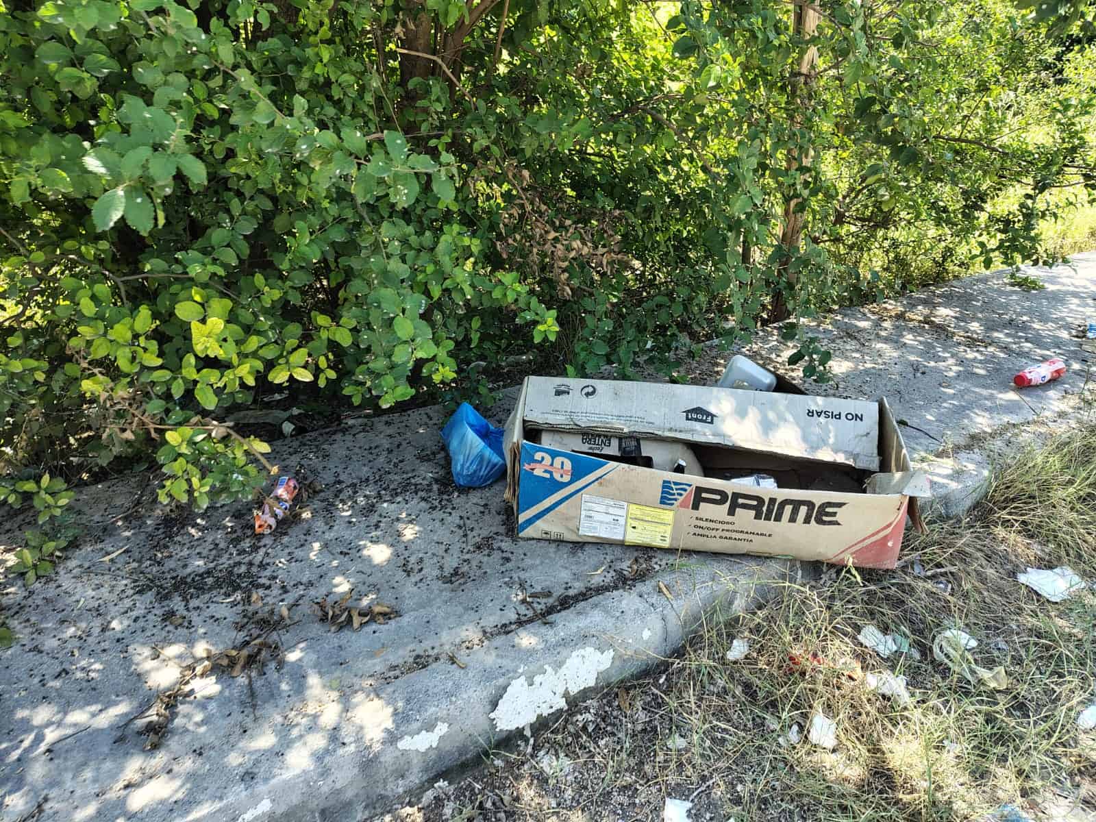 Vecinos de Nogalar Exigen Atención: Calles Abandonadas y Baches Representan Riesgo