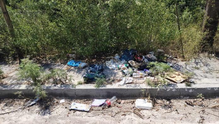 Vecinos de Nogalar Exigen Atención: Calles Abandonadas y Baches Representan Riesgo