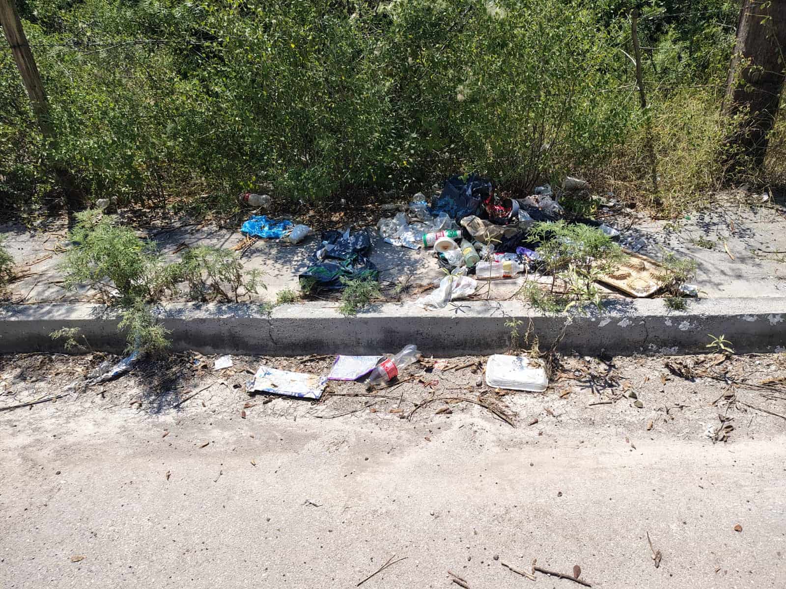 Vecinos de Nogalar Exigen Atención: Calles Abandonadas y Baches Representan Riesgo