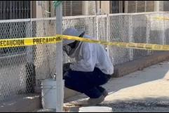 ABEJAS EN LA COLONIA ZARAGOZA: BOMBEROS Y APICULTORES ACTÚAN CON ÉXITO