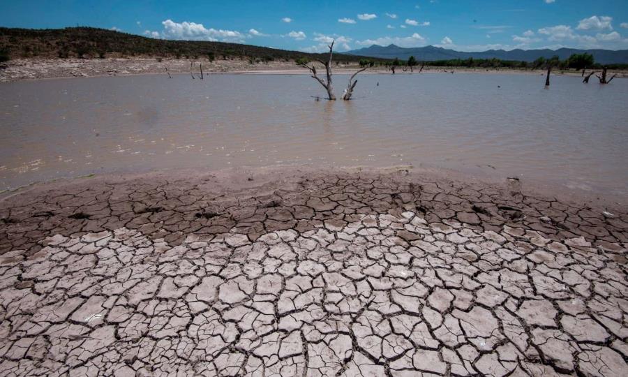 Coahuila: Mejora del 25% en la sequía gracias a las precipitaciones