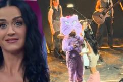 Fan mexicano se disculpa con Katy Perry por “Venga la Alegría