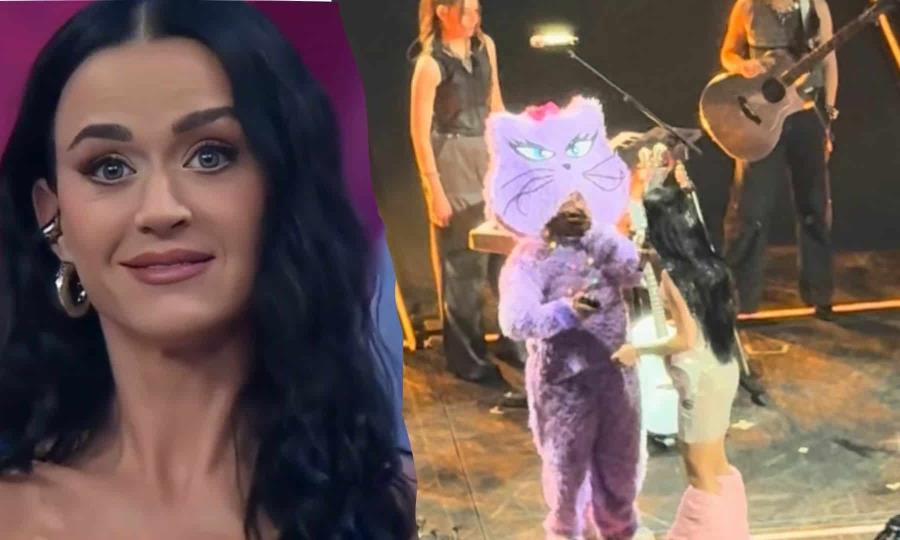Fan mexicano se disculpa con Katy Perry por “Venga la Alegría
