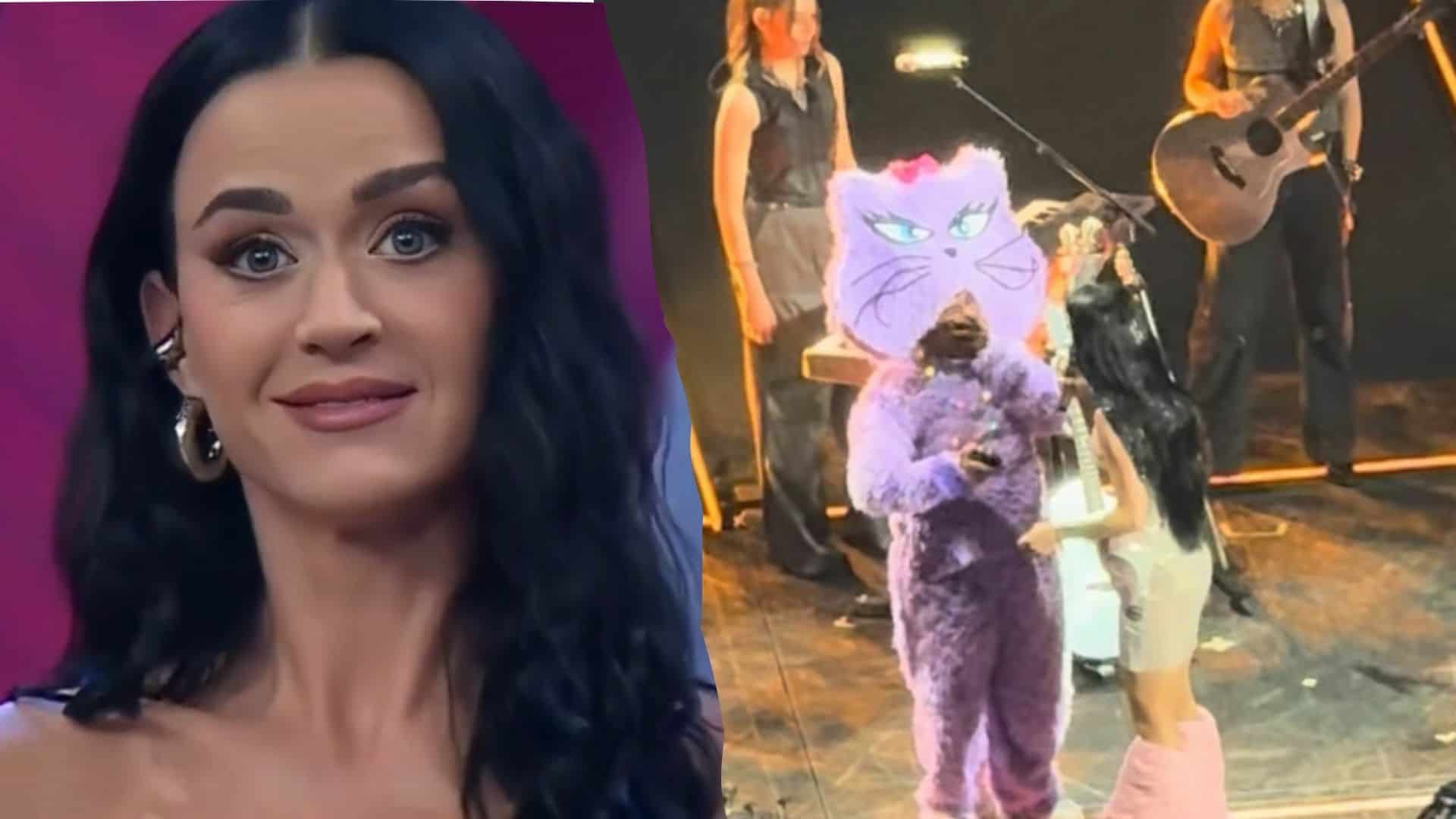 Fan mexicano se disculpa con Katy Perry por "Venga la Alegría