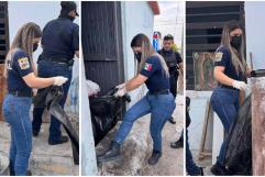 La Belleza que Conmovió en el Rescate: Policía Estatal Apoya a Adulto Mayor en Abandono