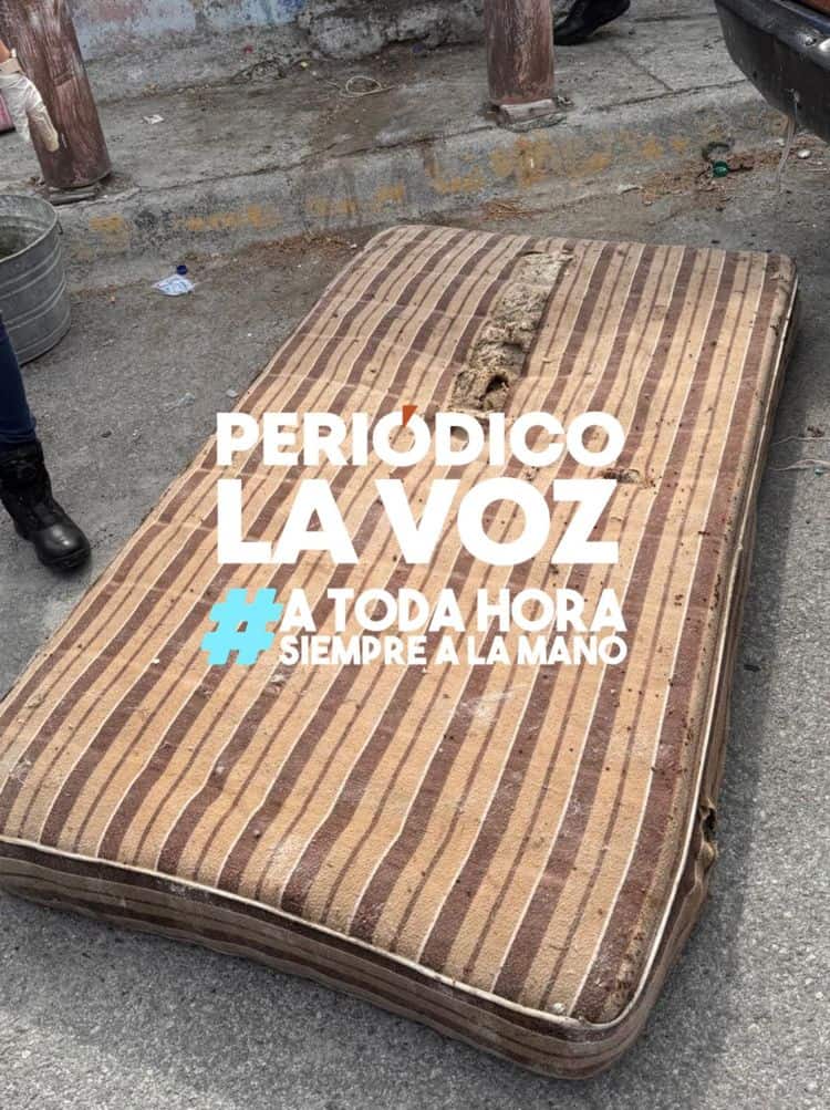 Placeholder