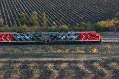Grupo México Transportes fortalece transporte con 120 locomotoras