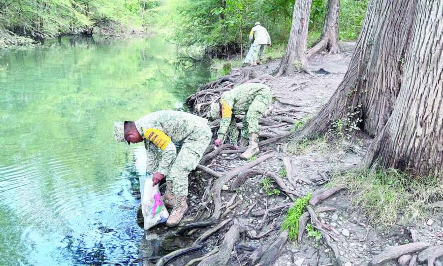 Compromiso ambiental: Ejército Mexicano y sociedad unidos por un entorno sano