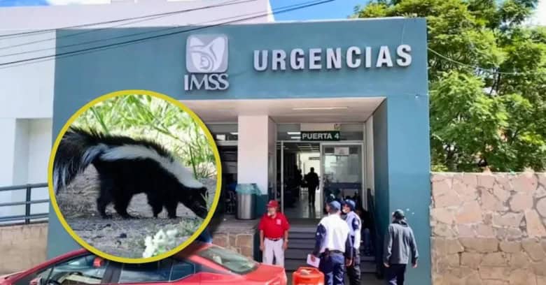 Trágico fallecimiento por rabia humana en Zacatecas