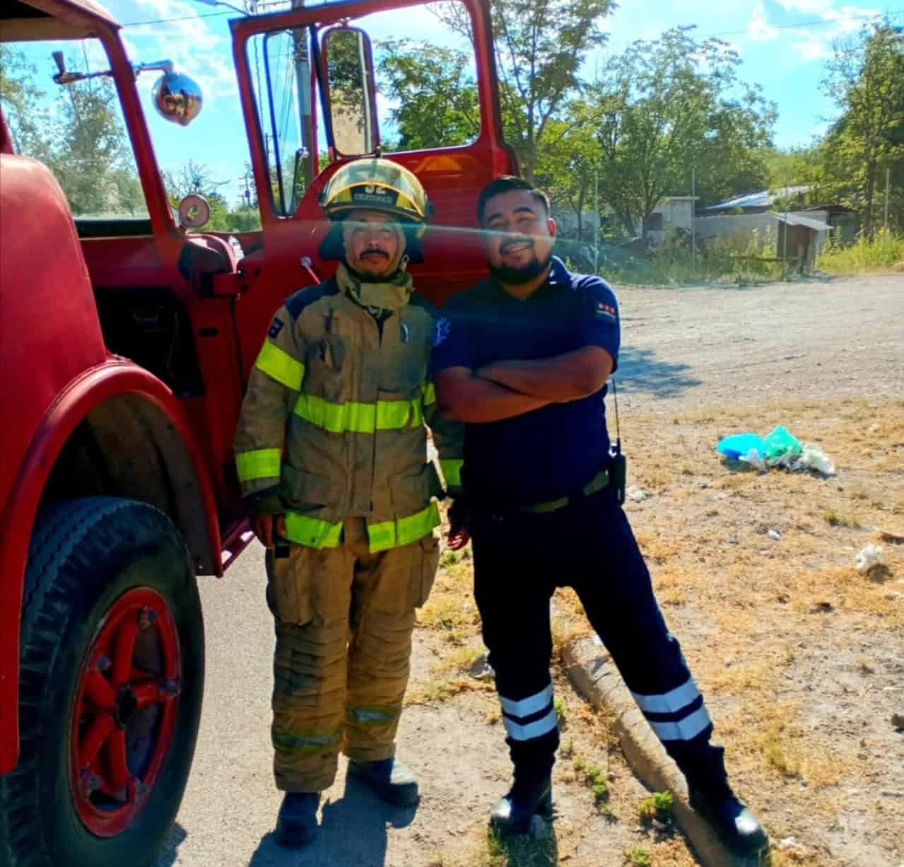 Adulto mayor es atacado por abejas en carretera Allende–Villa Unión