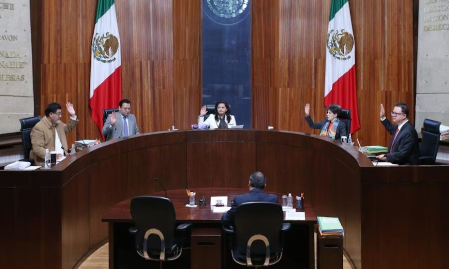 Organizaciones preocupadas por fallo del Tribunal Electoral en México