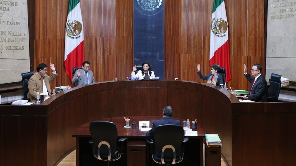 Organizaciones preocupadas por fallo del Tribunal Electoral en México