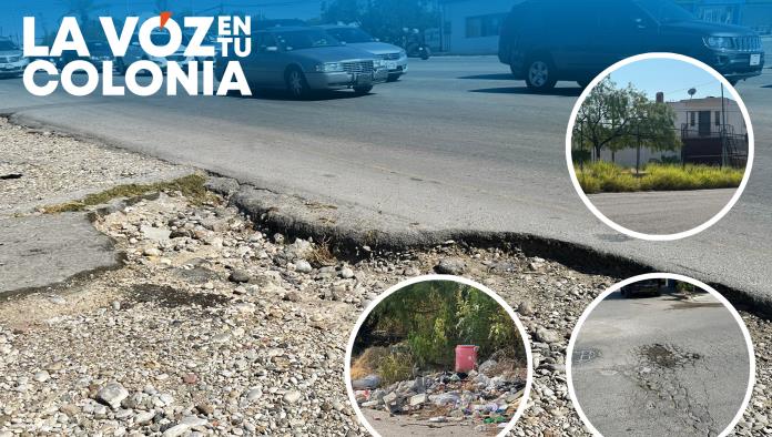 La voz en tu colonia: Abandono en la Nueva República exhibe desidia del gobierno municipal