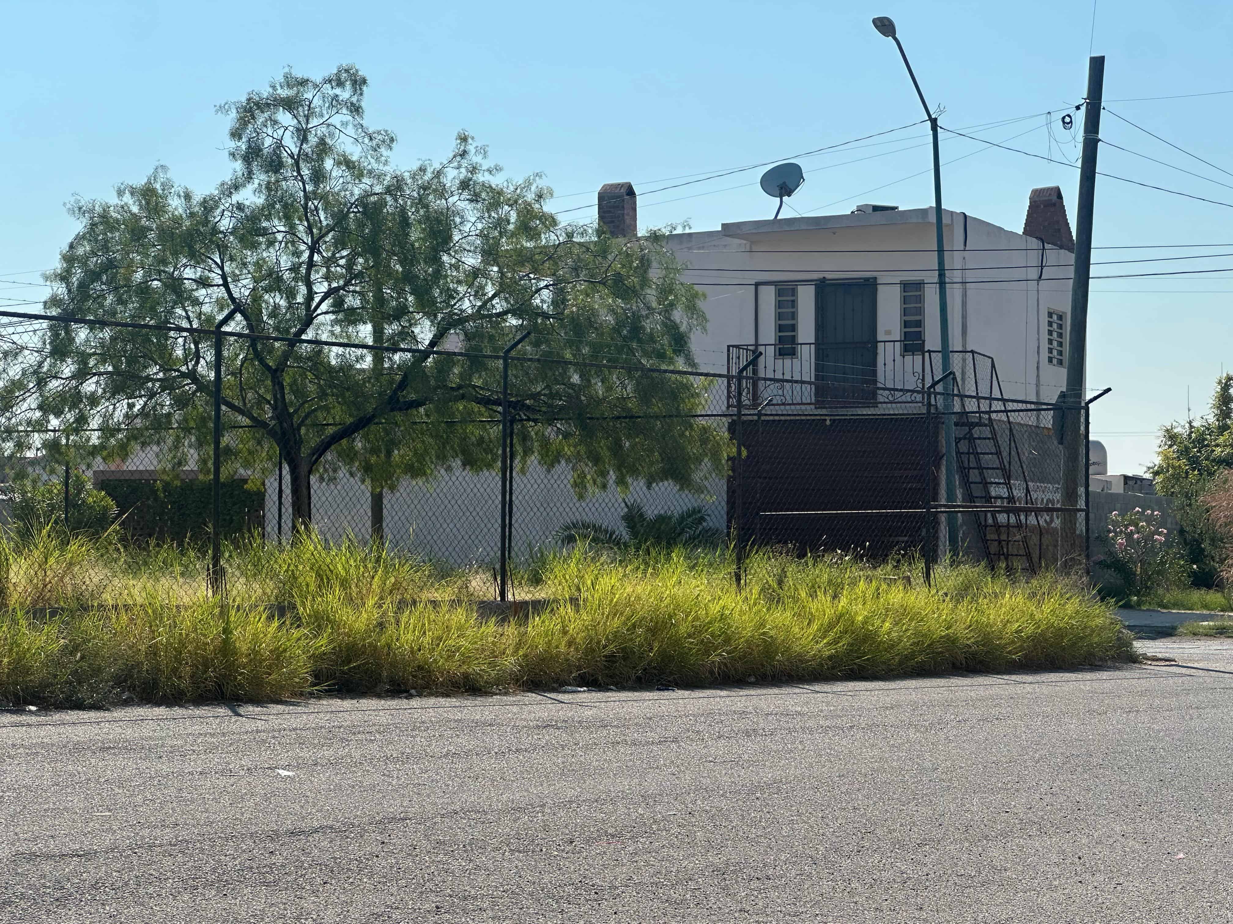 La voz en tu colonia: Abandono en la Nueva República exhibe desidia del gobierno municipal