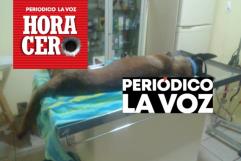 Jóvenes en moto arrastran a perrito, lastiman sus patas; vecinos exigén justicia