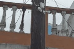 Grupo de Operaciones Especiales Encuentra Cámaras del Crimen Organizado en Guadalupe