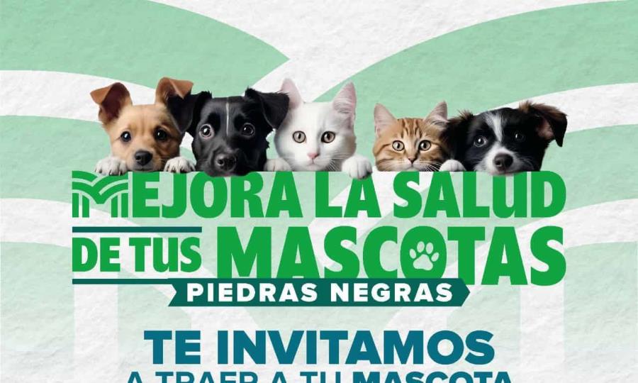 Llega brigada de salud para mascotas a la colonia Villa Real