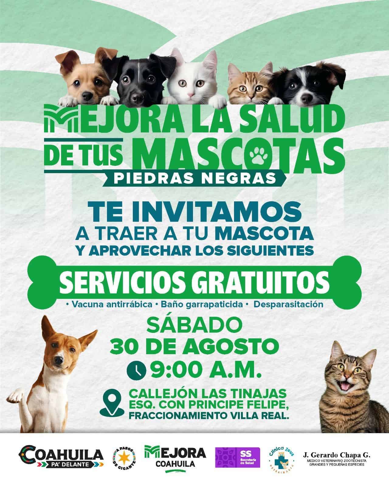 Llega brigada de salud para mascotas a la colonia Villa Real