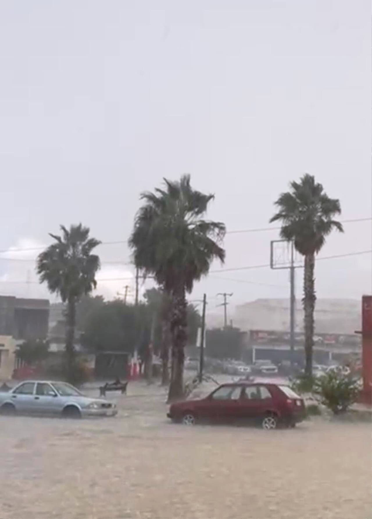 Intensa lluvia y granizo sorprenden a Saltillo