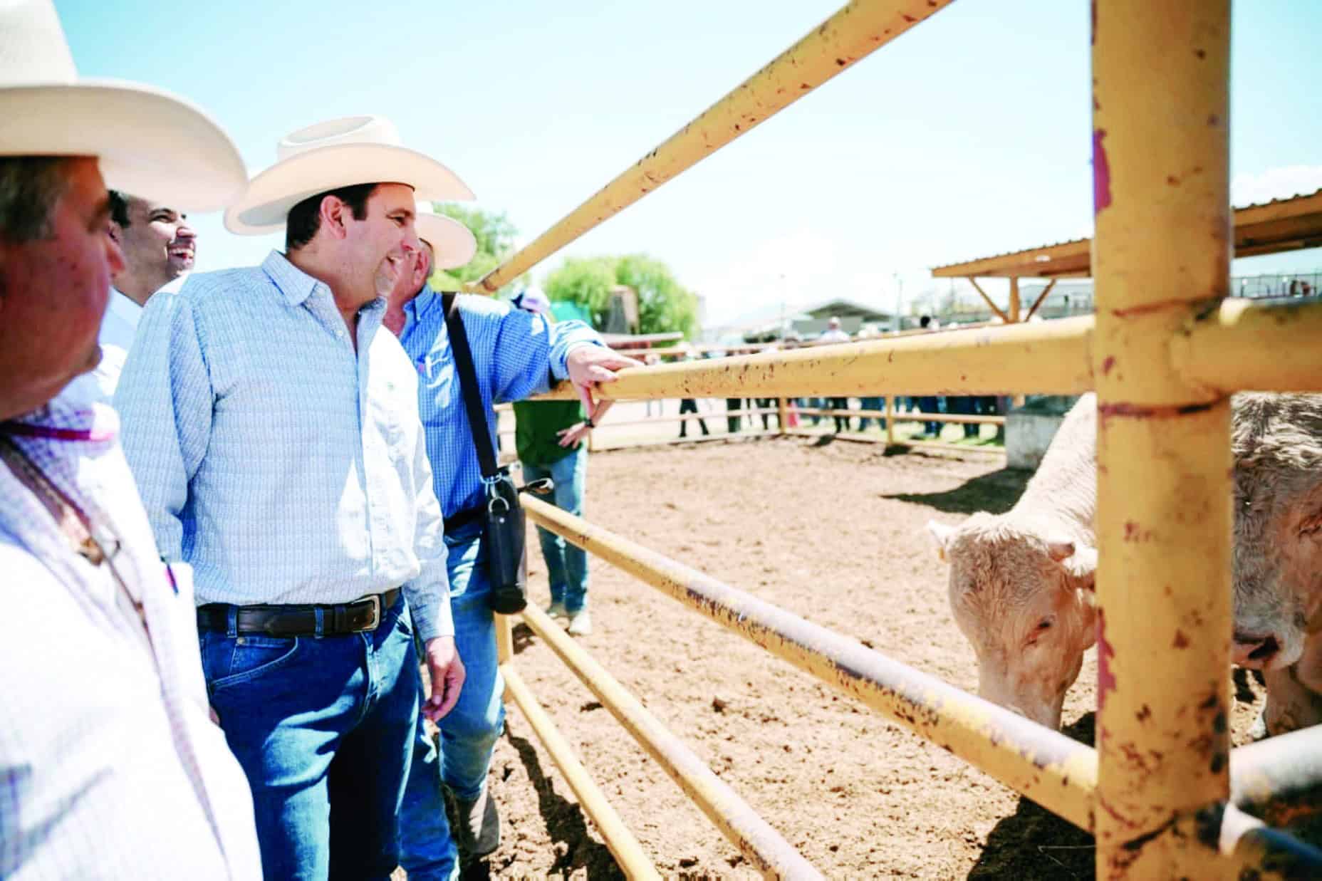 Programa Mejoramiento Genético Ganadero 2025: Beneficios para Productores en Saltillo