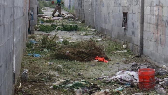 Programa Aquí Andamos embellece Saltillo con escombros y árboles
