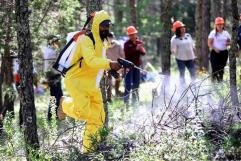 Brigadistas de Arteaga reciben apoyo con equipo especializado para combatir incendios forestales
