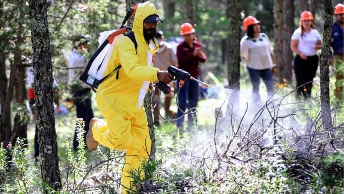 Brigadistas de Arteaga reciben apoyo con equipo especializado para combatir incendios forestales